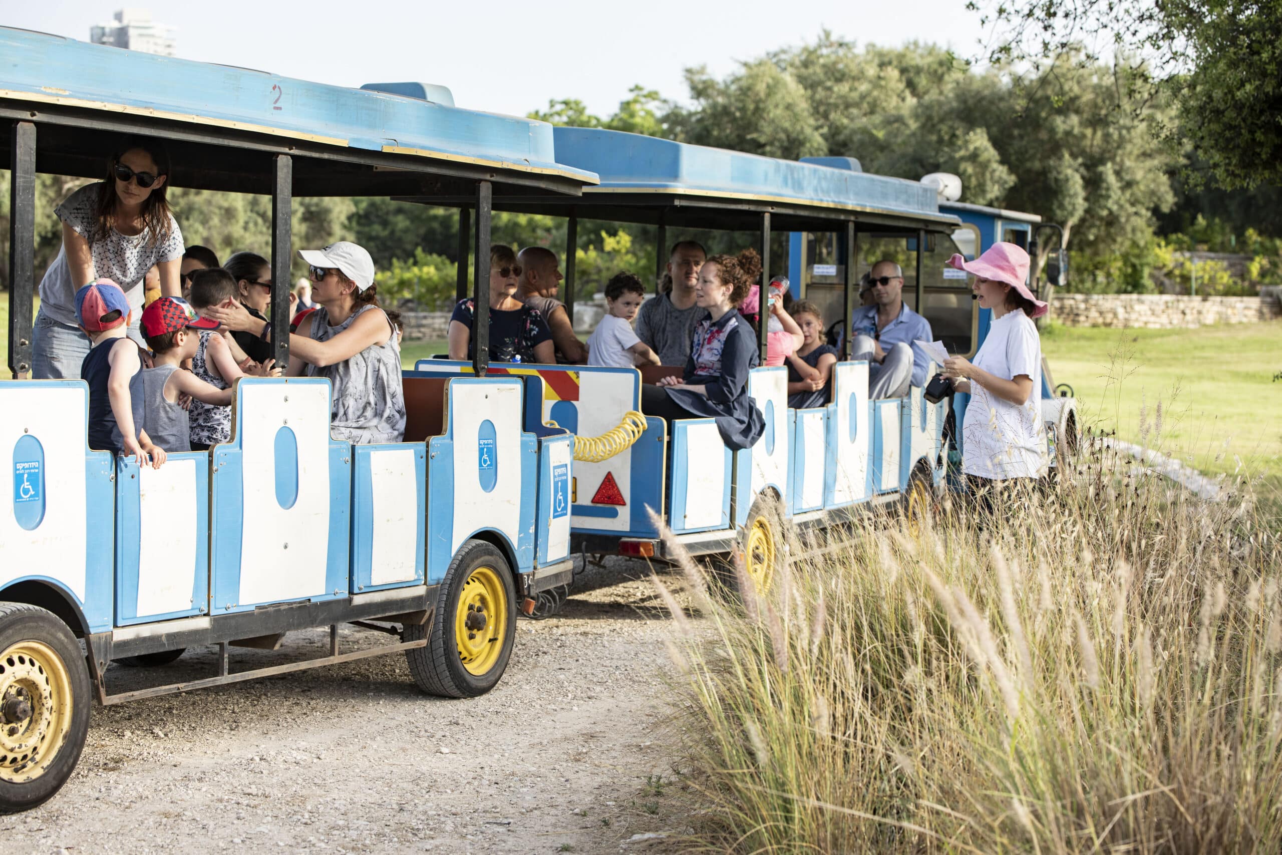 רכבת הפארק מהצד