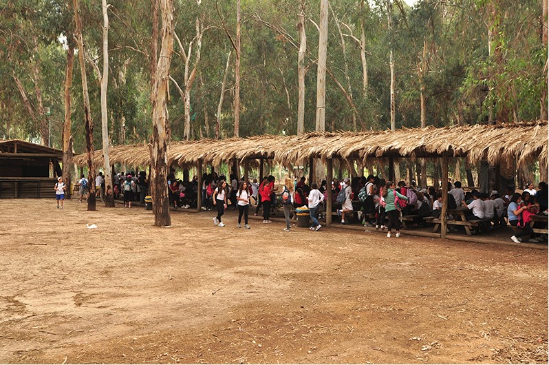 ילדים מתכנסים למחנה תחת ציליות קש