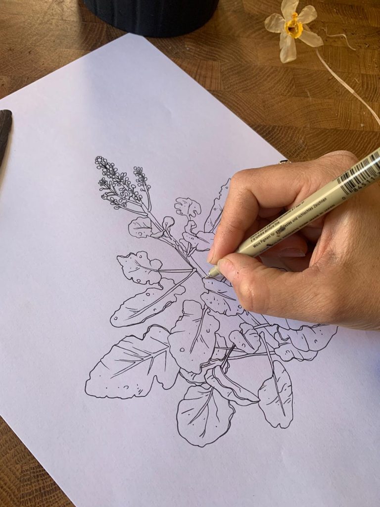 יד מציירת פרח על דף
