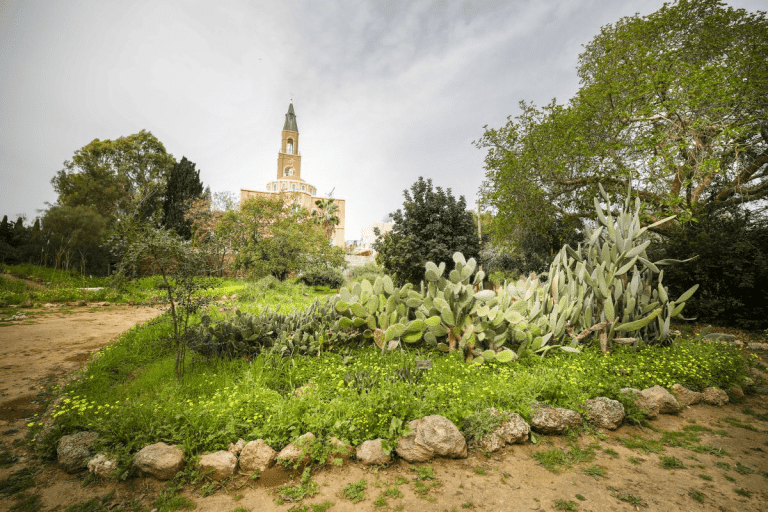 פינה ירוקה בגני הטבע וברקע צריח כנסיה