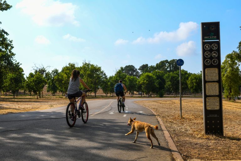 אנשים רוכבים באופניים בפארק ולצידם רץ כלב