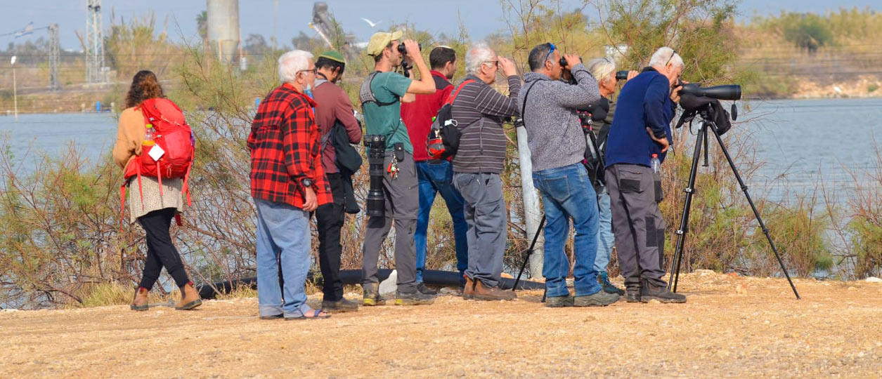 אנשים מסתכלים דרך משקפות על ציפורים באזור ימי