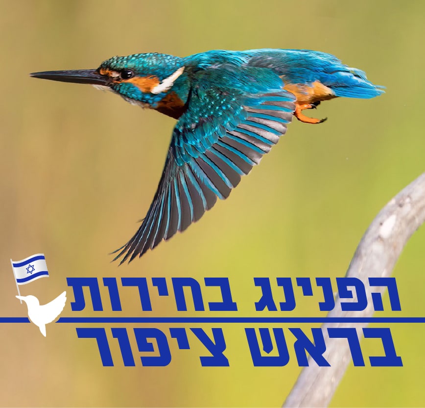 שלדג עף וסלוגן הפנינג בחירות