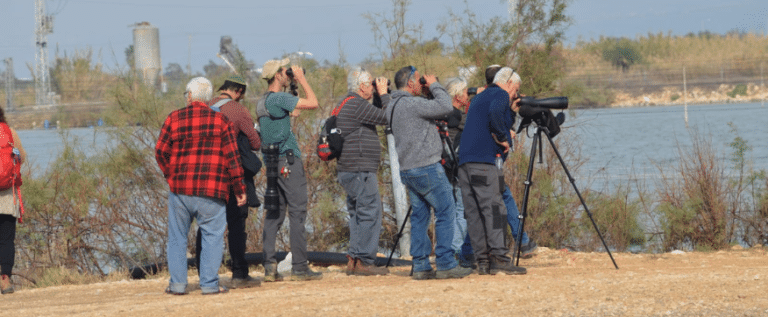 קבוצת אנשים צופים במשקפות ובמצלמות בציפורים