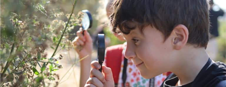 ילד מביט על עלה בזכוכית מגדלת