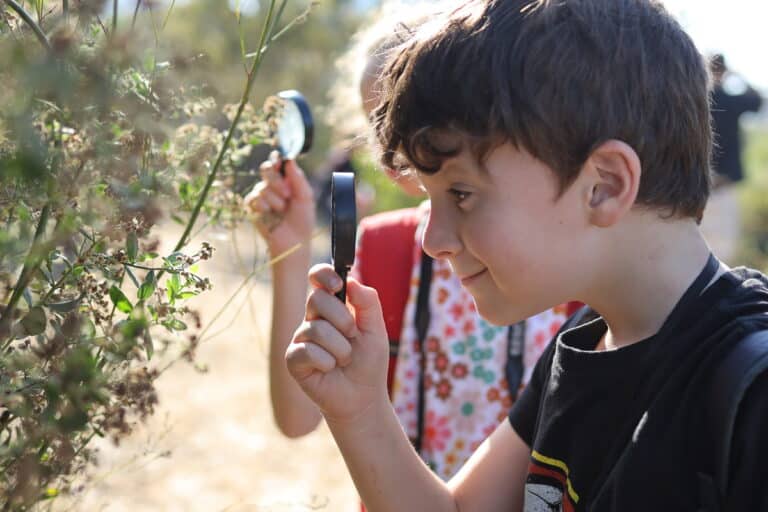 ילד מביט בזכוכית מגדלת