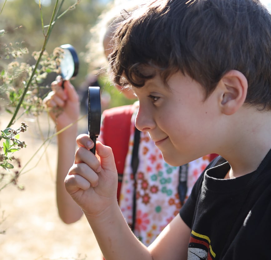 ילד חוקר בעזרת זכוכית מגדלת