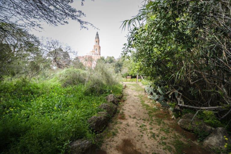 גני הטבע קיץ שביל בגני הטבע בין צמחיה וברקע הכניסה הרוסית