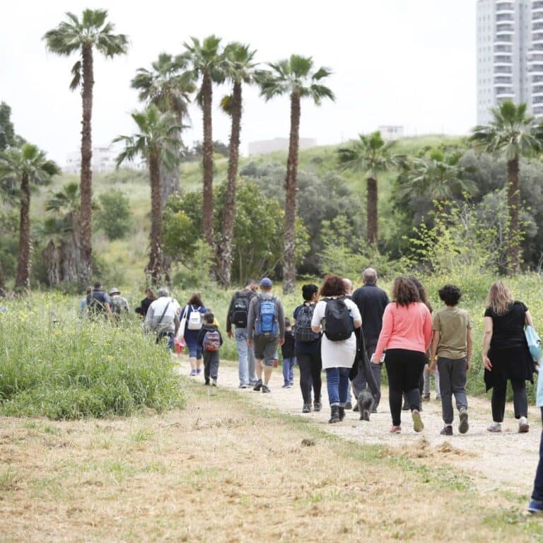 אנשים צועדים בשביל בפארק