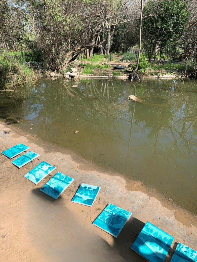 תערוכת הציורים ליד האגם