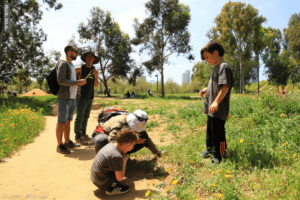 ילדים בוחנים חרק על האדמה