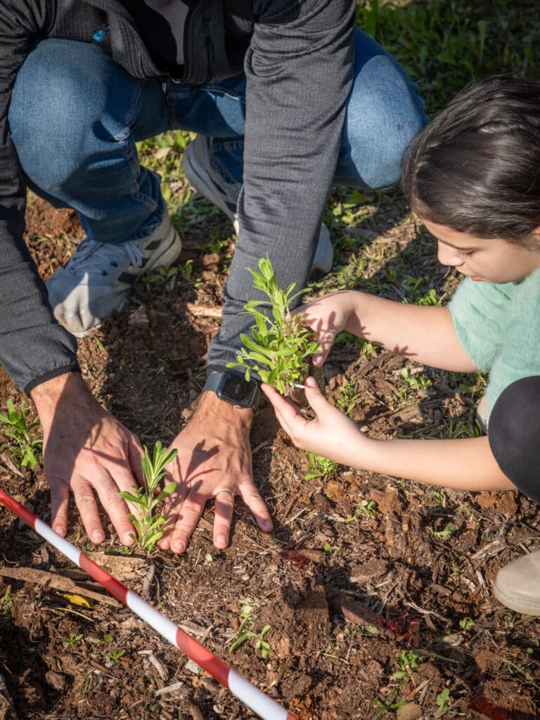 ילדה מחזיקה בשתיל לפני שתילה באדמה