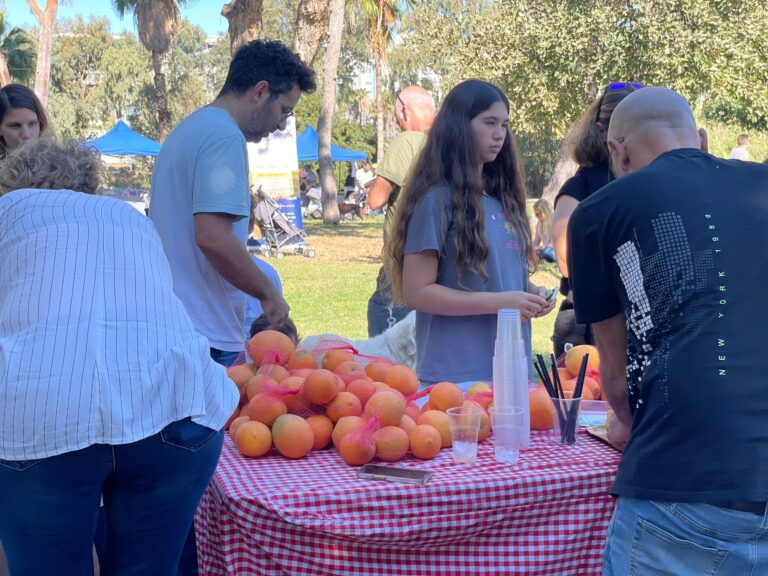 דוכן תפוזים בשוק