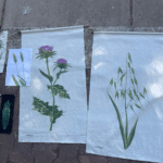 שני באנרים שנועה ציירה באחד שעורה ובשני ברקן