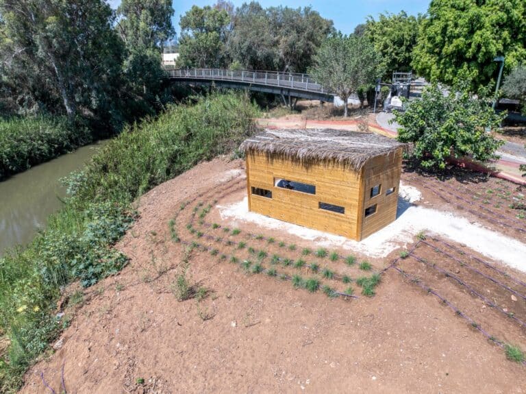 מסתורי צפיה מקטע מכביה
