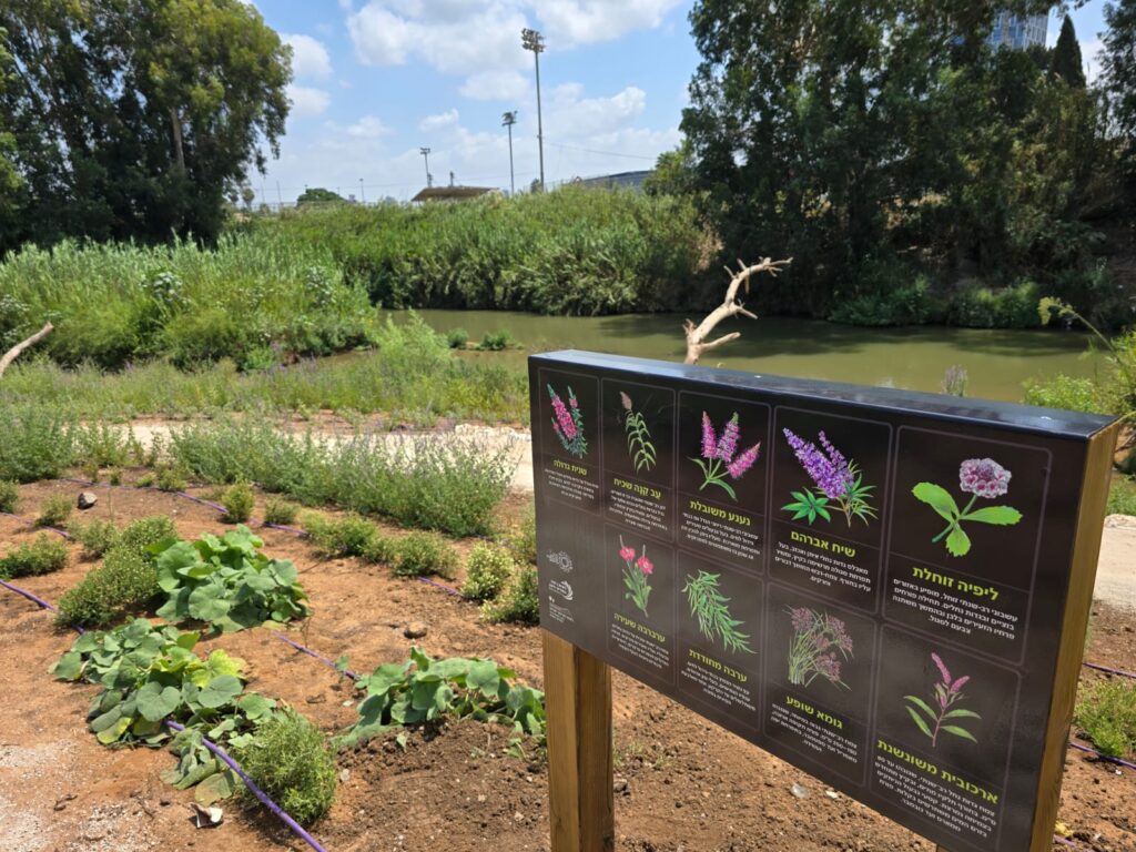 שילוט שיקום הירקון