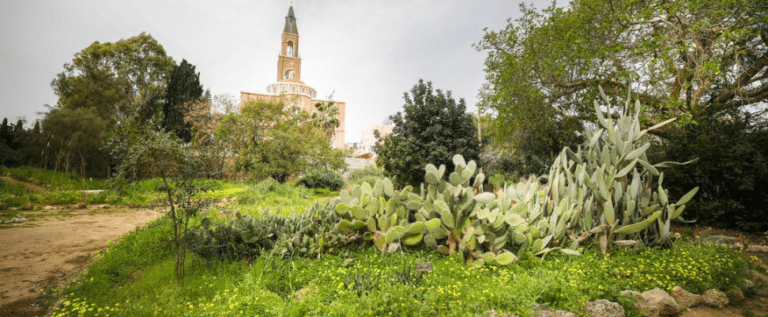 קיץ בגני הטבע תמונה של הכנסייה הרוסית בגני הטבע