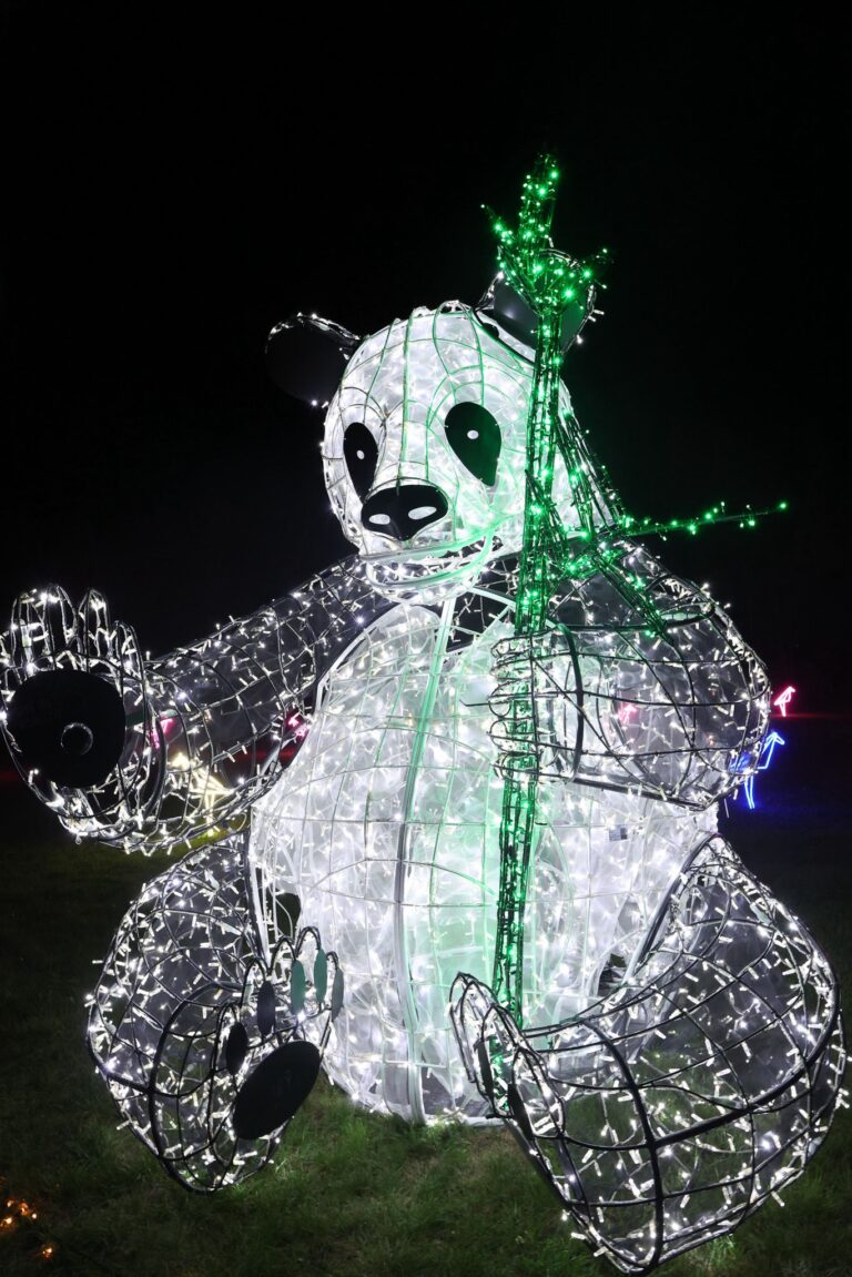 פסטיבל lumagica פסטיבל אורות בובת דוב פנדה אוחז במבוק. מואר בשרשראות של תאורה