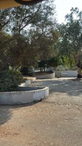 חניון המימדיון