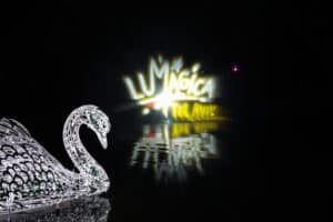 פסל ברבור מואר על רקע שלט התערוכה לומג'יקה