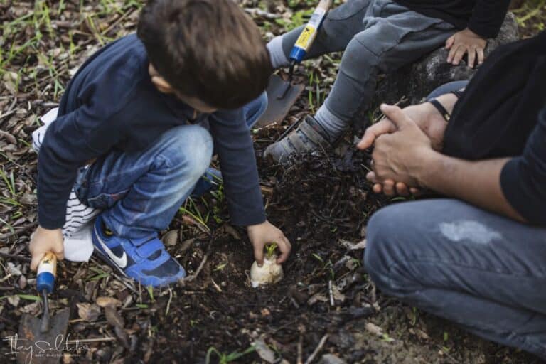 ילד מטנין פקעת גדולה