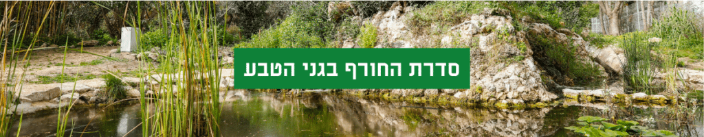 כותרת לעמוד סדרת סיורי חורף