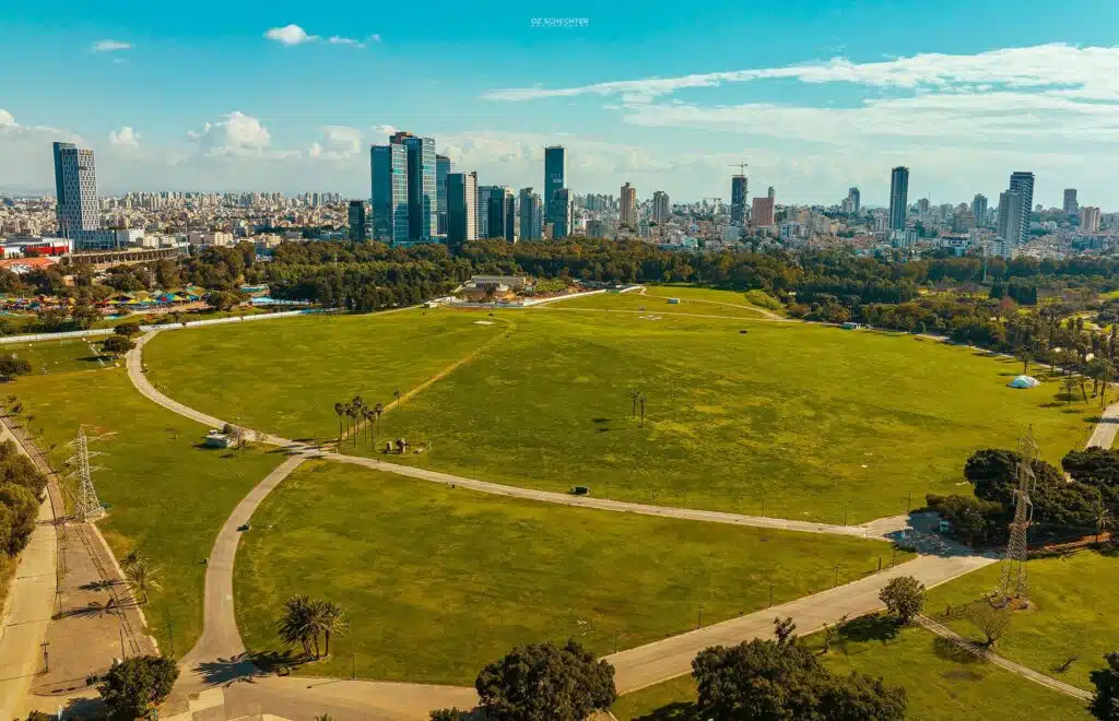 מראה נרחב של דשא על רקע בנייני העיר