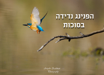 שלדג בתעופה