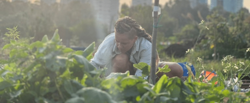 בחורה קוטפת בשדה על רקע בנייני העיר