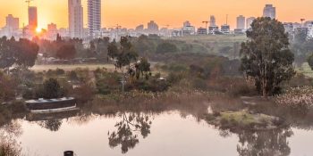 מראה נוף פארק הצפרות ממבט על בשקיעה